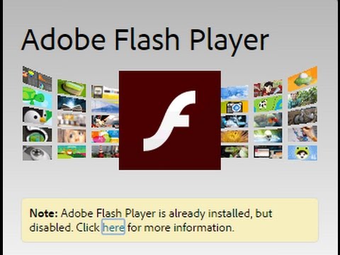 update flash player chrome mac